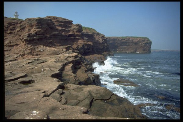 393059 Cape Tyron Lighthouse A4 Photo Print