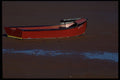 393064 Low Tide, Rocky Point A4 Photo Print