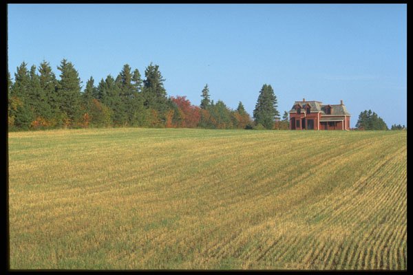 393066 Harvested Field A4 Photo Print