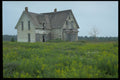 393070 Old House In Field A4 Photo Print