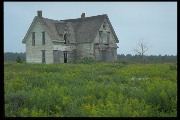 393070 Old House In Field A4 Photo Print