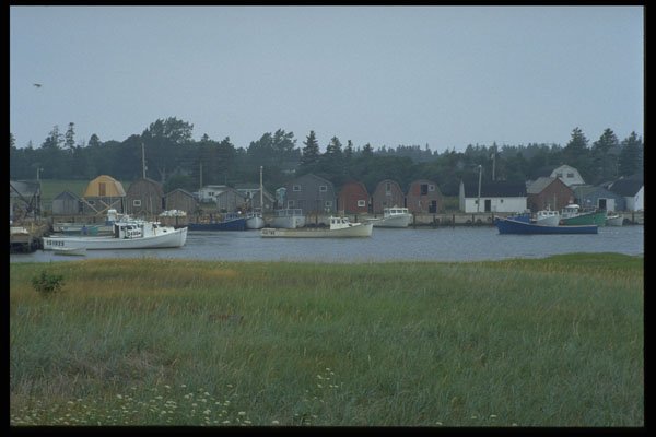 393071 Malpeque Harbor, Darnley Basin A4 Photo Print