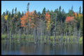 393072 Marshland Launching A4 Photo Print