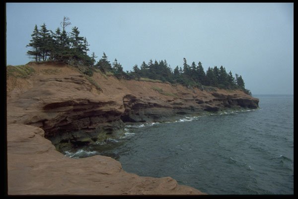 393073 Sea Cow Head, Rocky Point A4 Photo Print