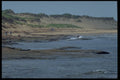 393077 Cavendish Beach A4 Photo Print