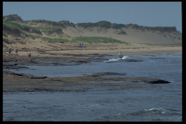 393077 Cavendish Beach A4 Photo Print