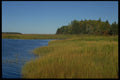 393078 Marshland, Winter Bay A4 Photo Print