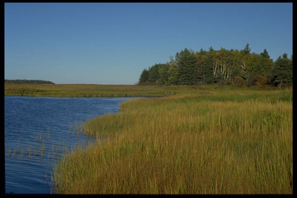 393078 Marshland, Winter Bay A4 Photo Print
