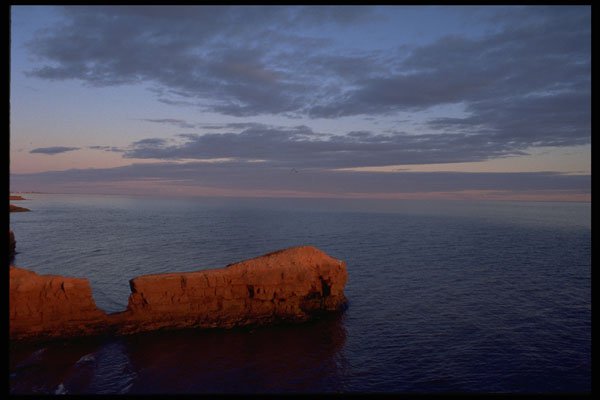 393081 Rocks, Cape Egmont A4 Photo Print
