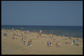 393096 Cavendish Beach A4 Photo Print