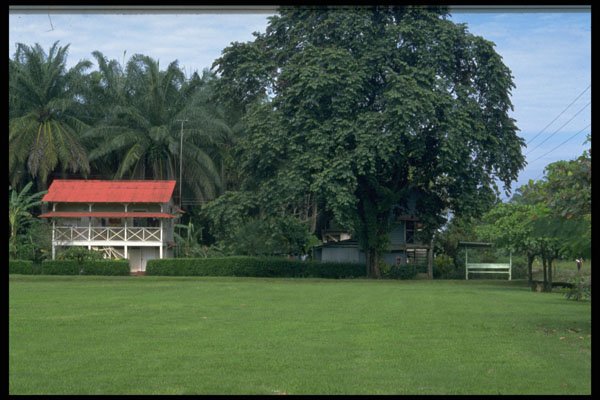 395000 Life On A Plantation A4 Photo Print