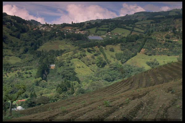 395007 Traditional Terrace Farming A4 Photo Print