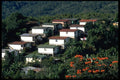 395032 Attractive Plantation Homes A4 Photo Print