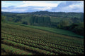 395033 Rich Fertile Farmlands A4 Photo Print