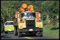 395048 Regulated Forest Industry A4 Photo Print