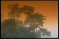 395049 Mystical Cloud Forest A4 Photo Print