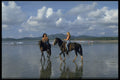 395052 A Unique Adventure A4 Photo Print