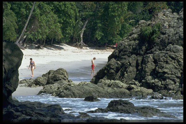 395053 Hidden Natural Wonders A4 Photo Print