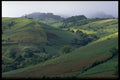 395056 Cultivating The Fields A4 Photo Print