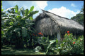 395059 Bri Bri Thatched Roof Cabin A4 Photo Print