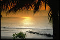 395060 Lasting Memories A4 Photo Print
