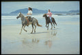 395075 A Popular Pastime A4 Photo Print
