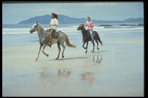 395075 A Popular Pastime A4 Photo Print
