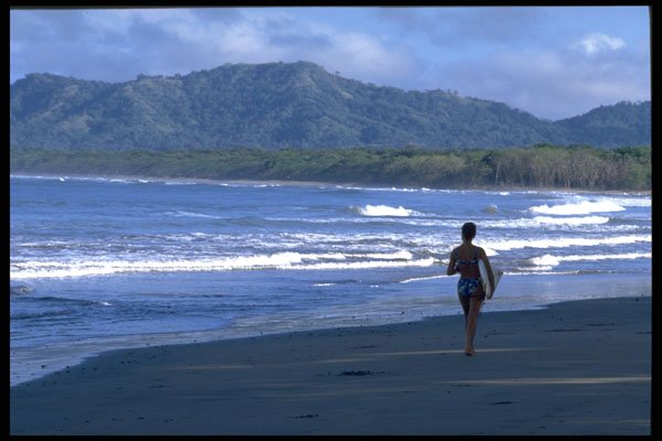 395082 Solitary Surfer A4 Photo Print