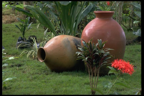 395089 Decorative Clay Vases A4 Photo Print