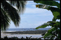 395091 Ancient Lava Beach A4 Photo Print