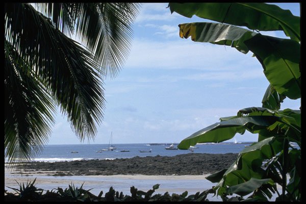 395091 Ancient Lava Beach A4 Photo Print