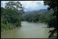 395098 Jungle River A4 Photo Print
