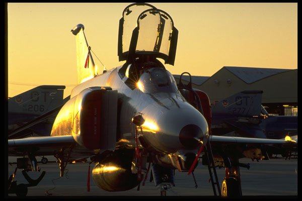 396012 Wild Weasel A4 Photo Print