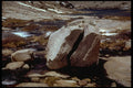 397014 Rock Split By Lightning Near Wanda Lake A4 Photo Print