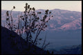 397028 View Back Towards White Mountains From South Pass Trail A4 Photo Print