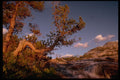 397034 Outlet Of Evolution Lake And Start Of Evolution Falls A4 Photo Print