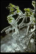 397035 Early Autumn Ice, Lone Pine Creek A4 Photo Print