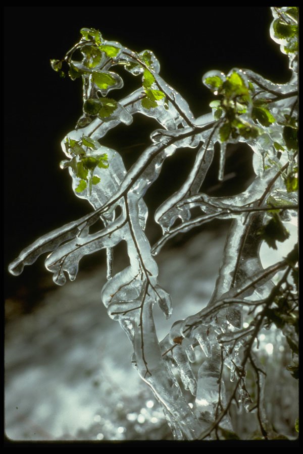 397035 Early Autumn Ice, Lone Pine Creek A4 Photo Print