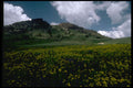397041 Near Sonora Pass A4 Photo Print