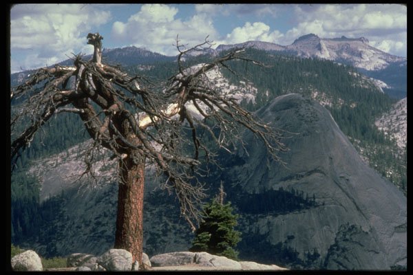 397051 Glacier Point, Yosemite A4 Photo Print