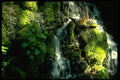 397053 Sierra Garden A4 Photo Print