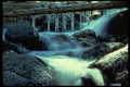 397055 Lone Pine Creek A4 Photo Print