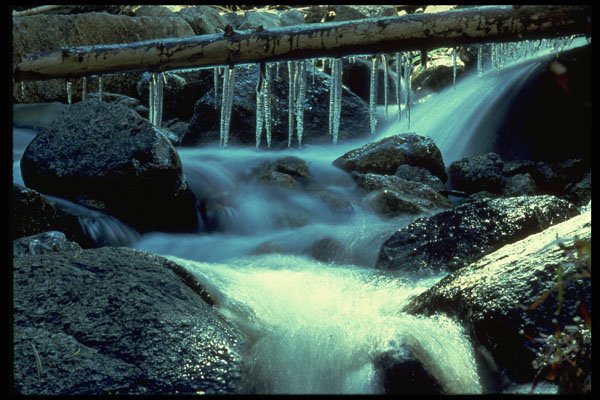 397055 Lone Pine Creek A4 Photo Print
