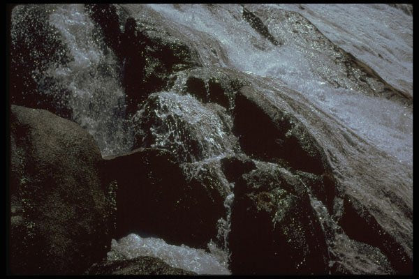 397057 Detail, Evolution Falls A4 Photo Print