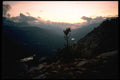 397061 Evolution Valley A4 Photo Print