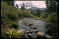 397072 Tributary Of Wallace Creek A4 Photo Print