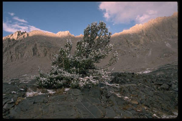 397080 Autumn Storm Near Forester Pass A4 Photo Print