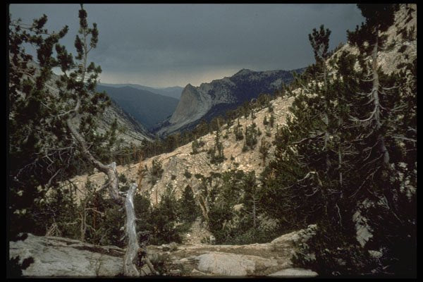 397089 View Towards Enchanted Gorge A4 Photo Print