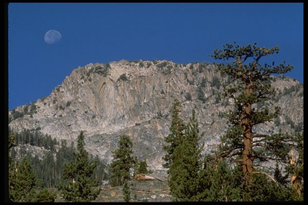 397090 Evolution Valley A4 Photo Print