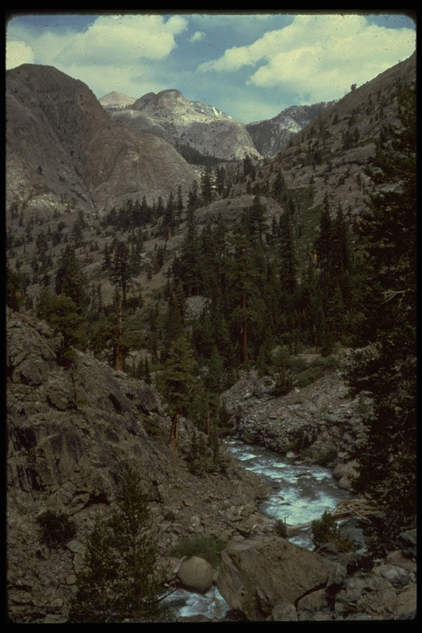 397097 Piute Creek Below Hutchinson Meadow A4 Photo Print
